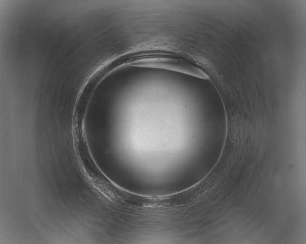 X0000056310680200509021537