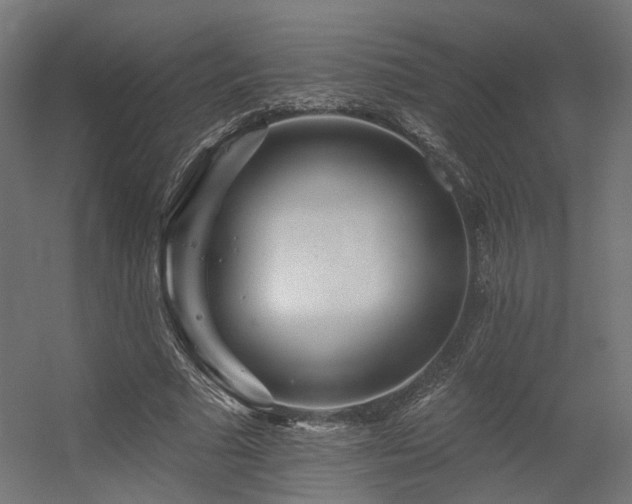 X0000056310681200509021537