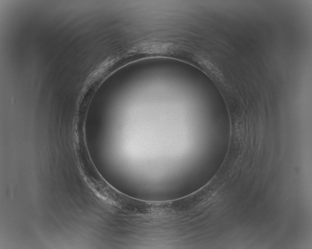 X0000056310682200509021537