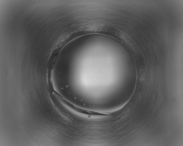 X0000056310685200509021537