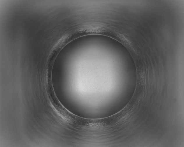 X0000056310686200509021537