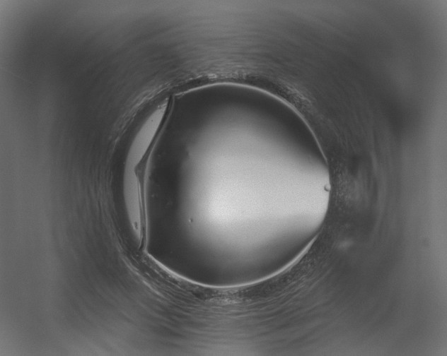 X0000056310687200509021537