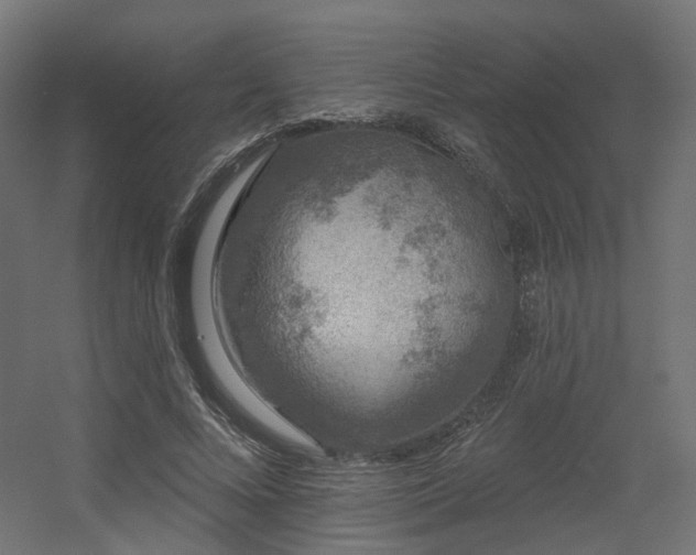 X0000056310688200509021537