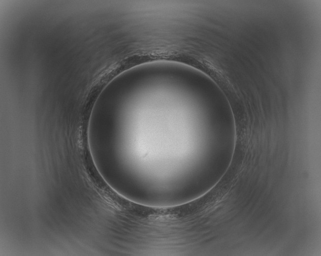 X0000056310689200509021537