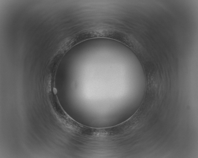 X0000056310694200509021537