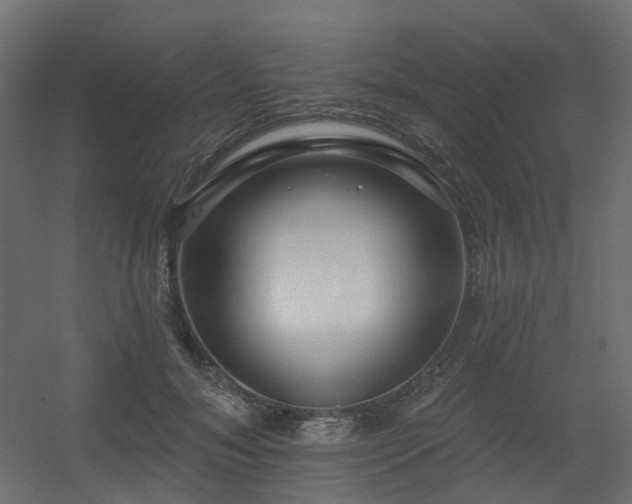 X0000056310700200509021537
