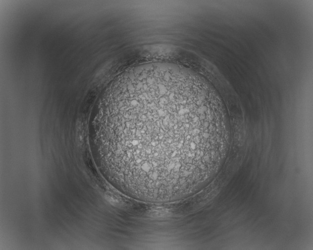 X0000056310701200509021537