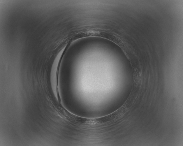 X0000056310704200509021537