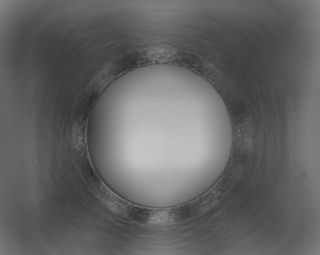 X0000056310705200509021537