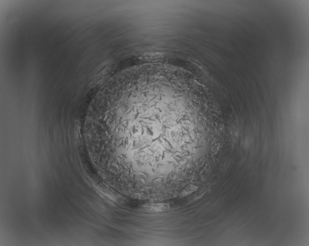X0000056310711200509021537