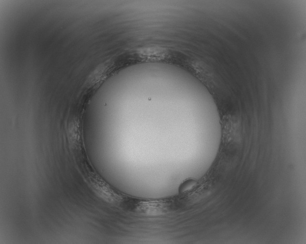X0000056310713200509021537