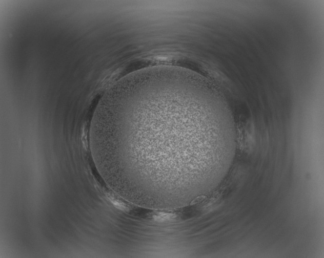 X0000056310718200509021537