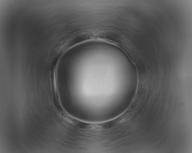 X0000056310719200509021537