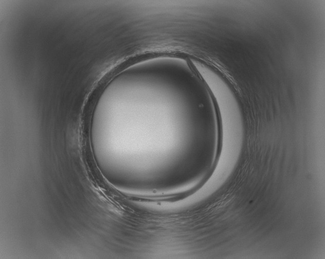 X0000056310724200509021536