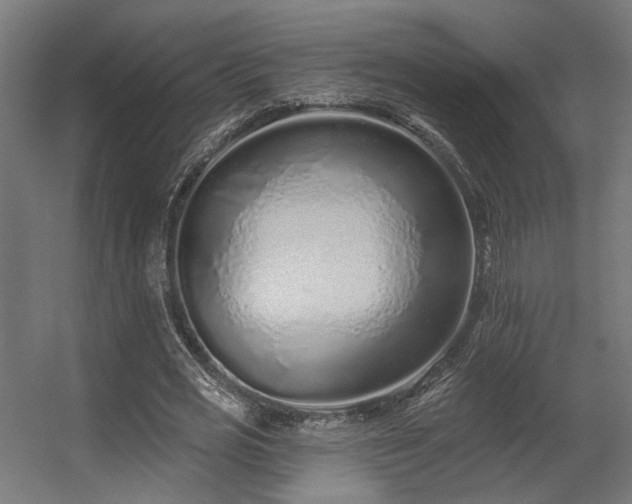 X0000056310725200509021536