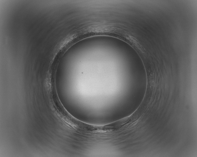 X0000056310727200509021536