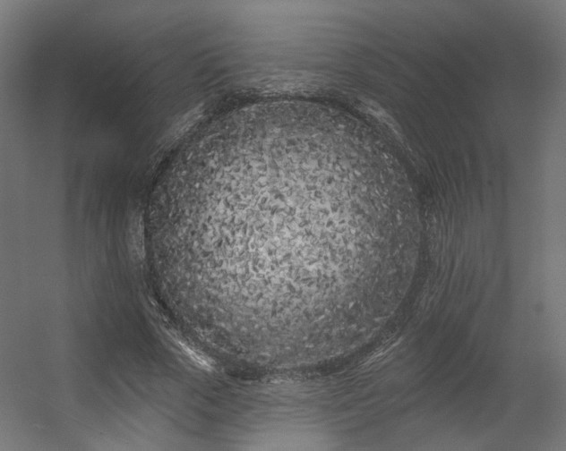 X0000056310729200509021536