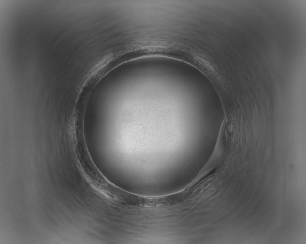 X0000056310730200509021536