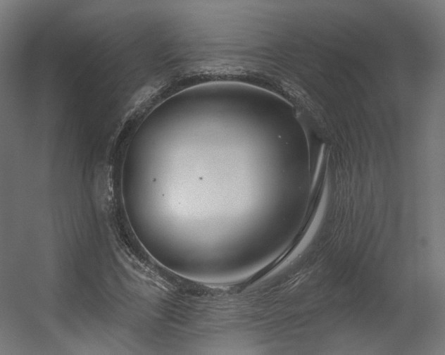 X0000056310731200509021536