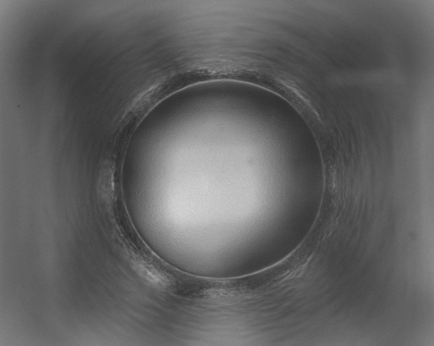 X0000056310733200509021536