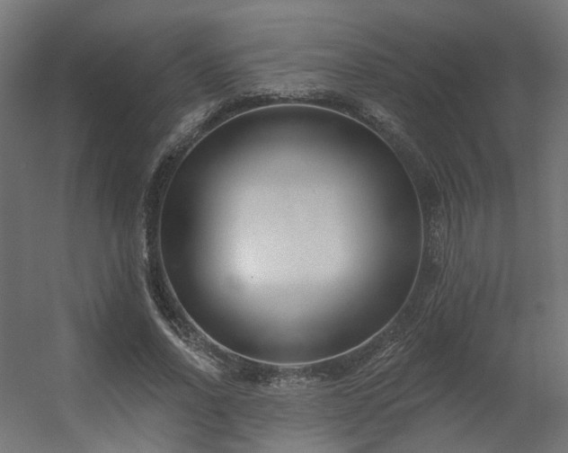 X0000056310734200509021536