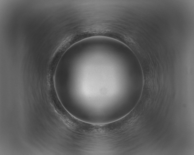 X0000056310735200509021536