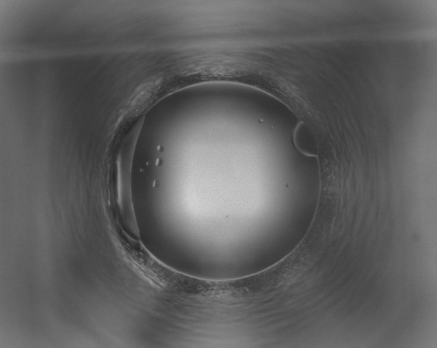 X0000056310738200509021536