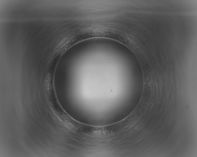 X0000056310744200509021536