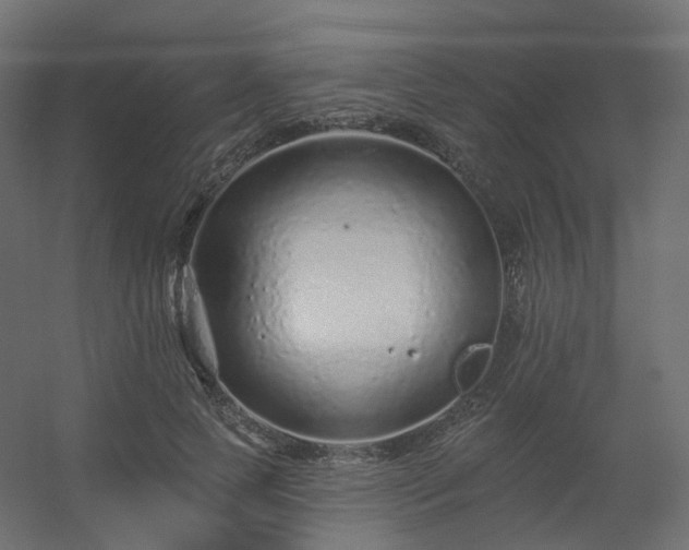 X0000056310745200509021536