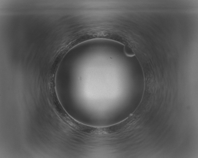 X0000056310747200509021536