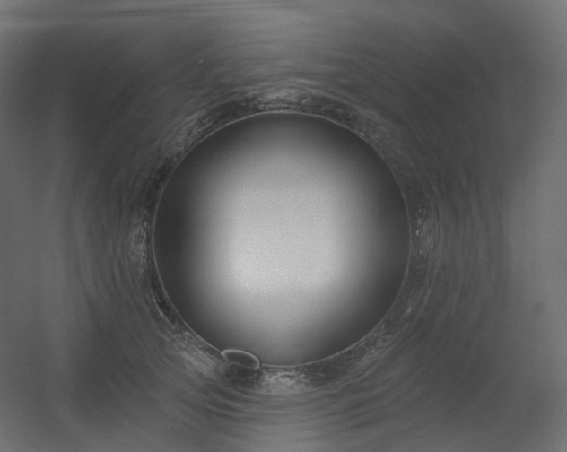 X0000056310753200509021537