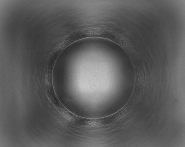 X0000056310755200509021537