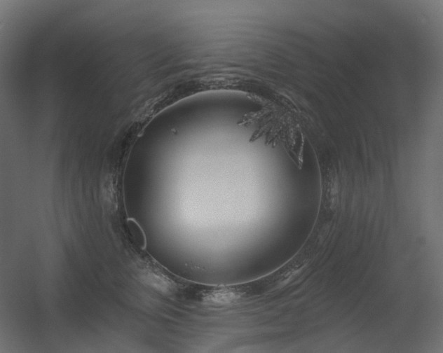 X0000056310759200509021537