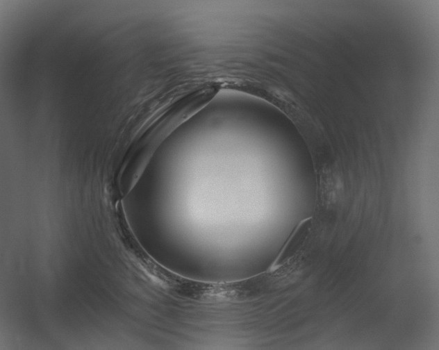 X0000056310760200509021537