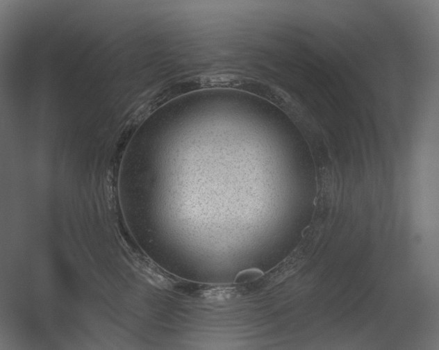 X0000056310761200509021537