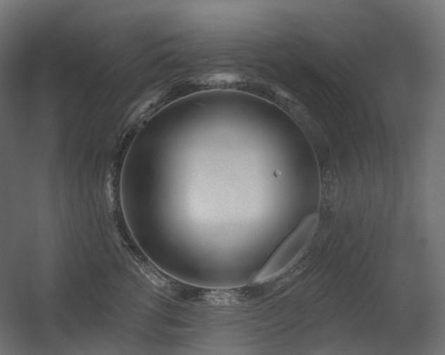 X0000056310762200509021537