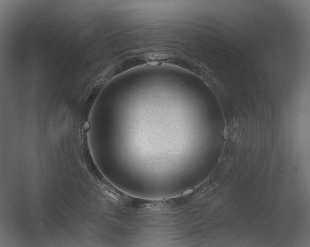 X0000056310763200509021537