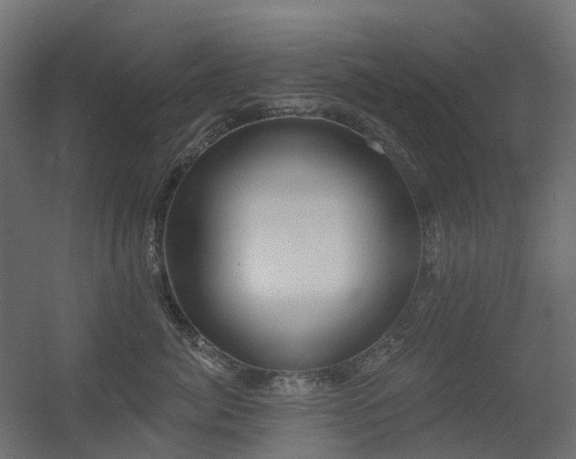 X0000056310764200509021537