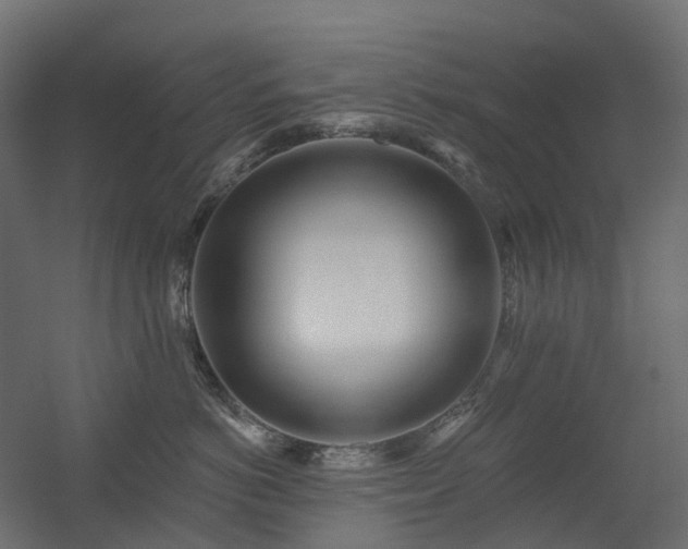 X0000056310766200509021537