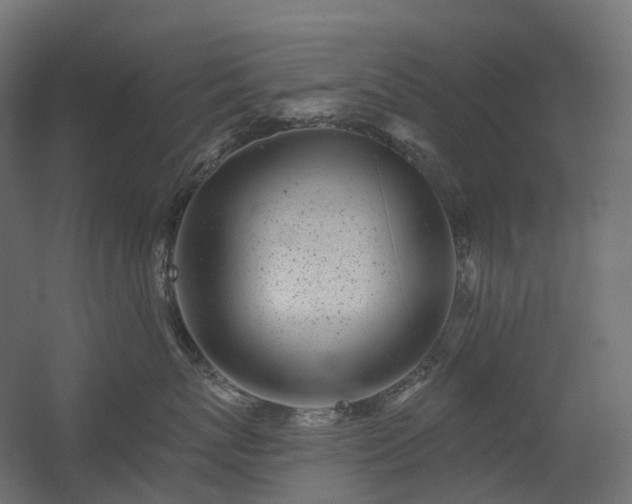 X0000056310767200509021537