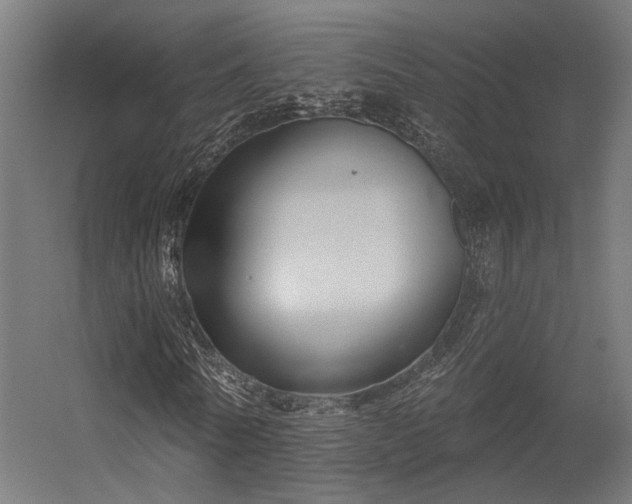 X0000056310770200509021536