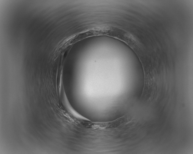 X0000056310773200509021536