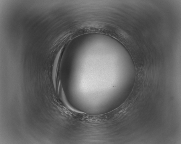 X0000056310774200509021536
