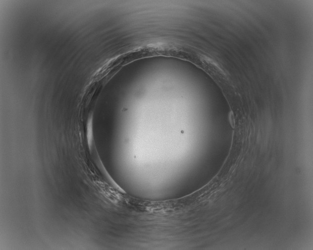 X0000056310776200509021536