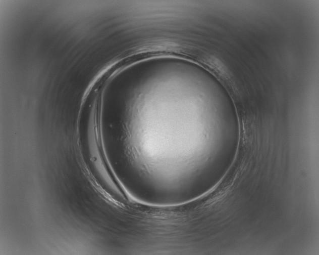 X0000056310780200509021536