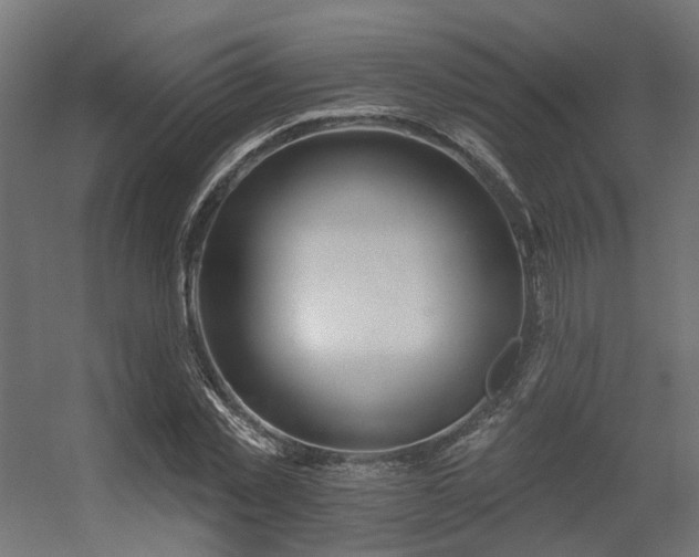 X0000056310781200509021536