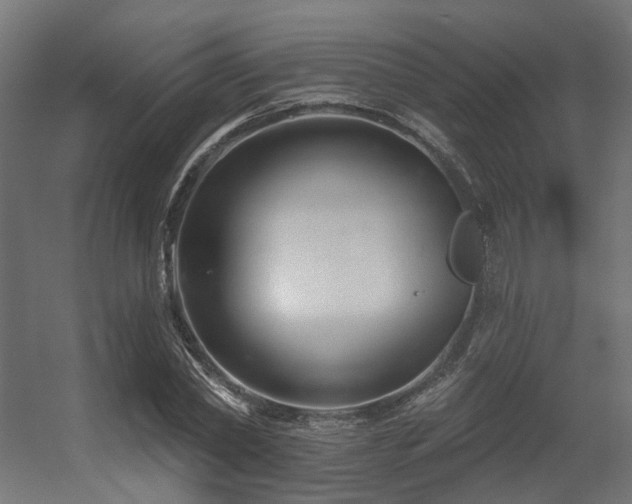 X0000056310782200509021536