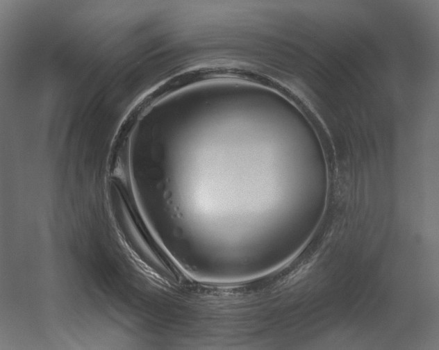 X0000056310783200509021536