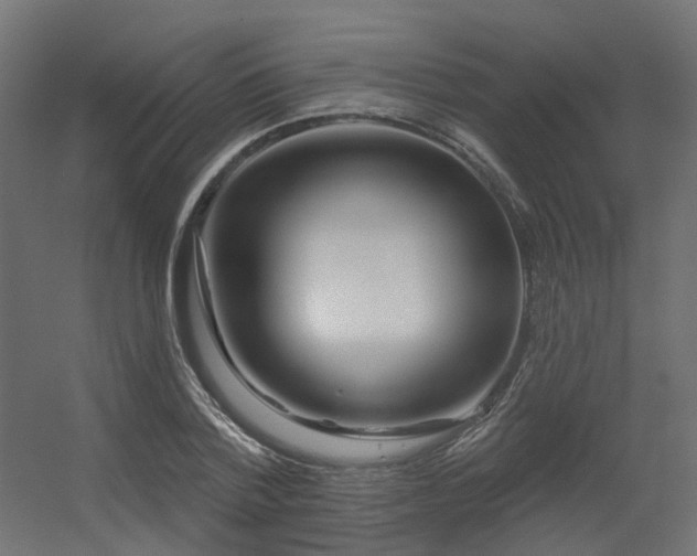 X0000056310788200509021536