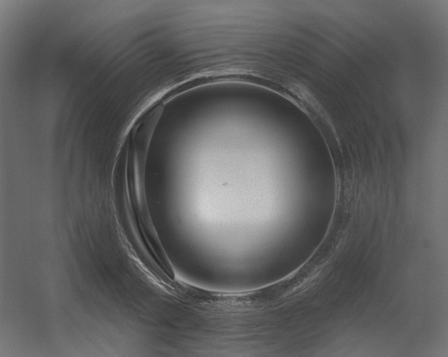 X0000056310789200509021536